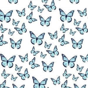 Meet your Posher, Bridgette